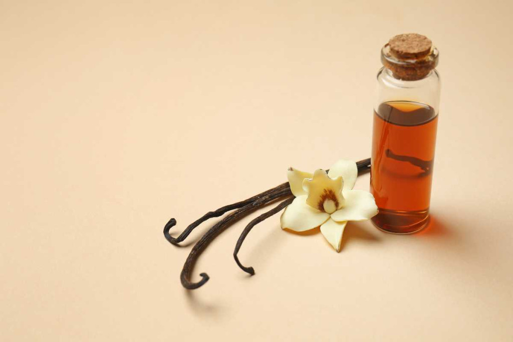 Featured image for Best Vanilla Beans for Extract Use