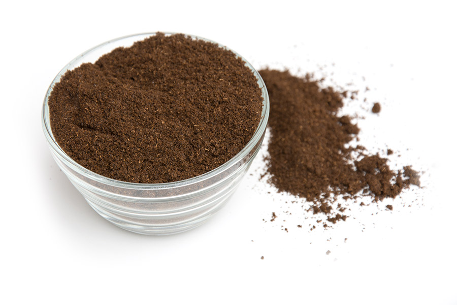 Featured image for Buy Ground Vanilla and Whole Beans