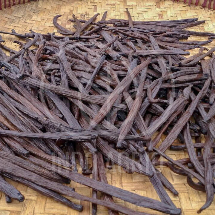 Featured image for Shop Whole Vanilla Beans and Paste