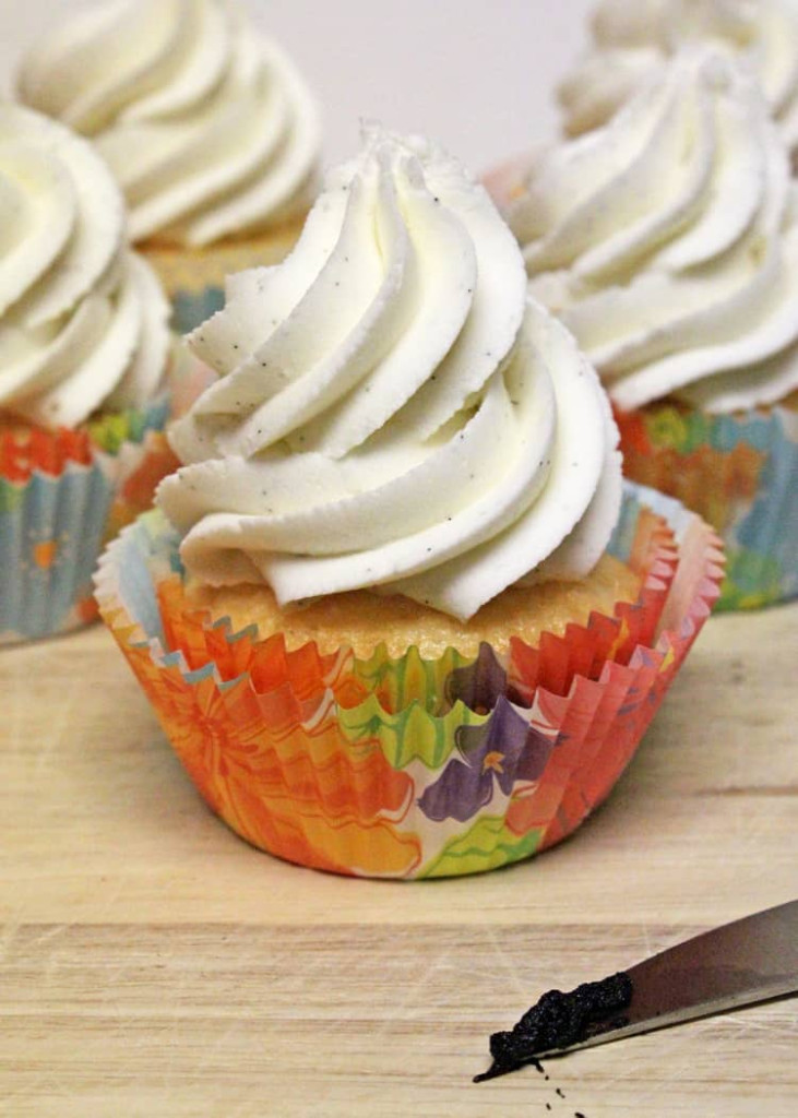Featured image for Best Vanilla Bean Paste for Ice Cream and Cakes