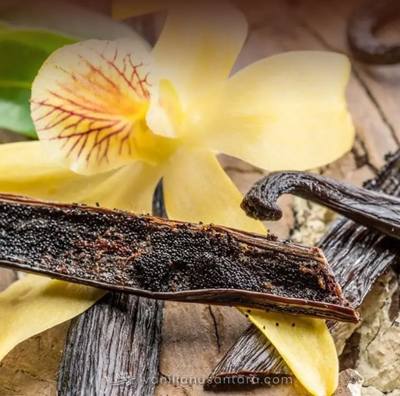 buy vanilla beans 22